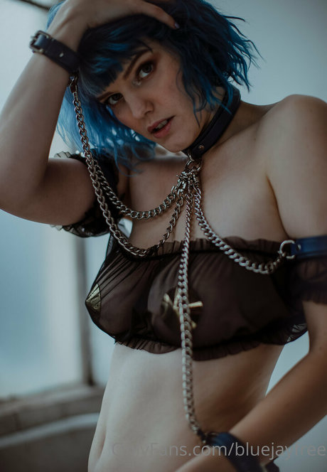 bluejayfree star du porno hd images