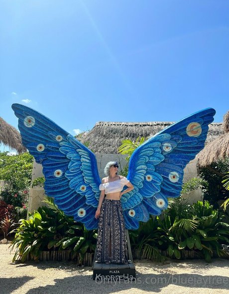 bluejayfree buen modelo imágenes