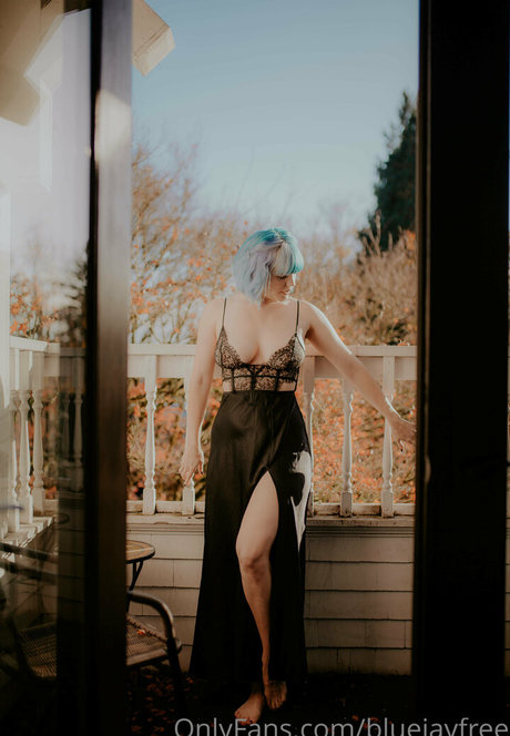 bluejayfree art étoile img