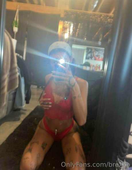 brexxo libre de estrellas foto