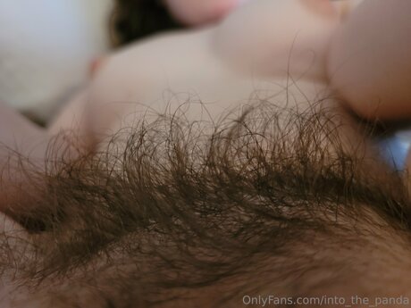 into the panda estrella erótica fotos