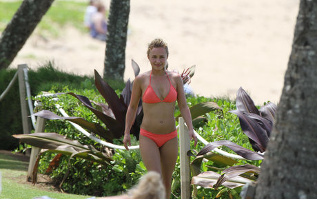 Hayden Panettiere actriz de arte imagen