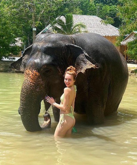 Fernanda Schneider estrella porno atractiva foto