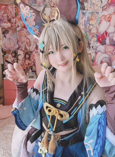 Xidaidai nus étoiles photo