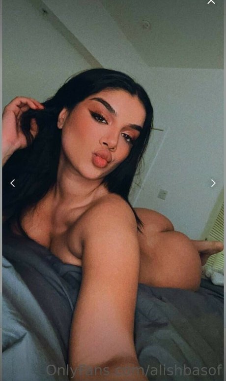 Alishbasheikh perfect star galleries