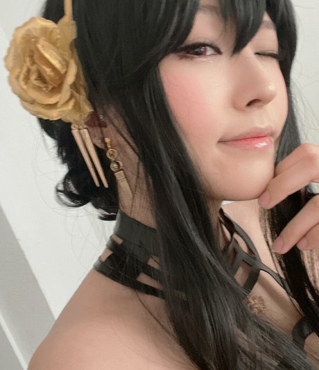 Aikuros estrella libre galería