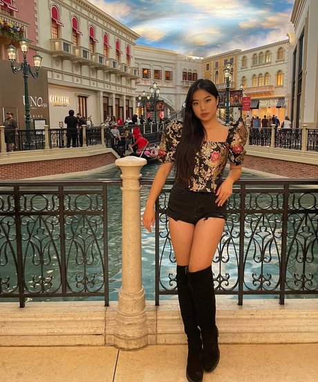 Nemsko linda estrella imágenes