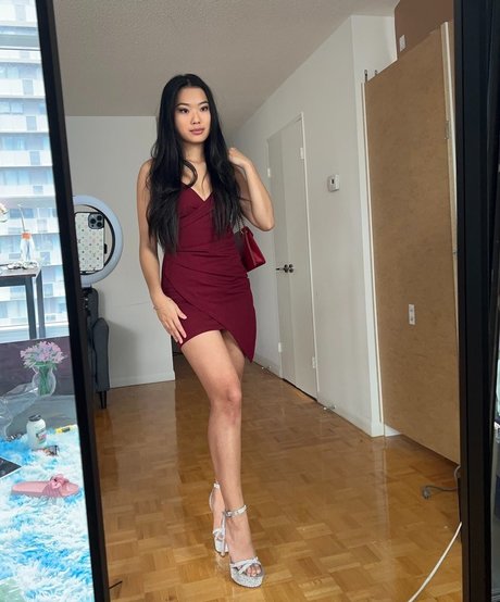 Nemsko mejor estrella recopilación