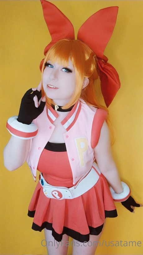 Usatame modèle collection