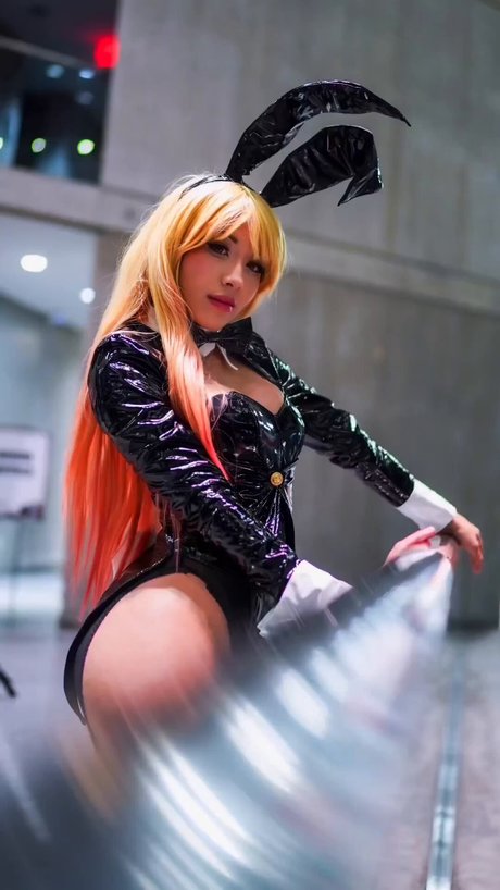 Arabella Kat libre de estrellas archivo