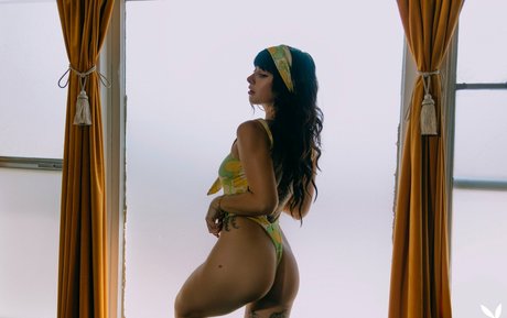 Reed Suicide star du porno xxx des photos