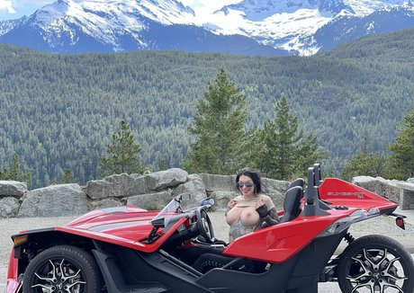 Damazonia_ star du porno collection