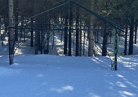 laraloxley art de star du porno galerie