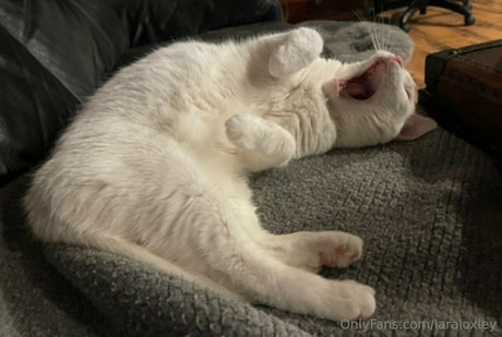 laraloxley modelo superior imagen