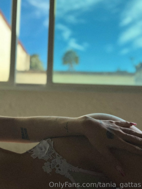 Tania Gattas estrella caliente imagen
