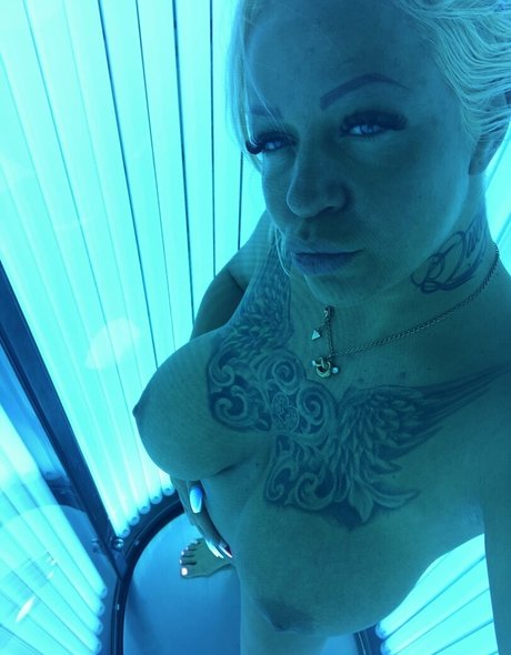 pekarvivi étoile de haute qualité collection