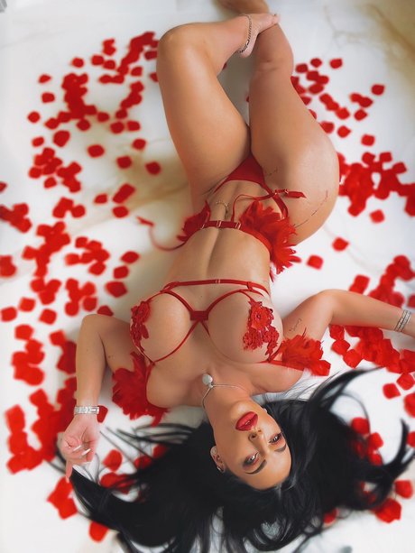 south onlyfans top archive