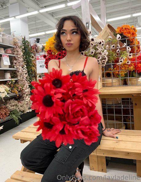 Layladeline étoile érotique images