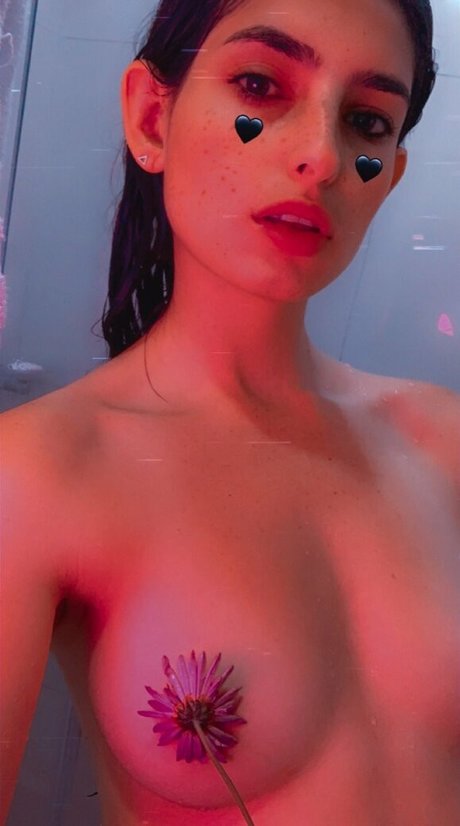 Holly Shit beau modèle image