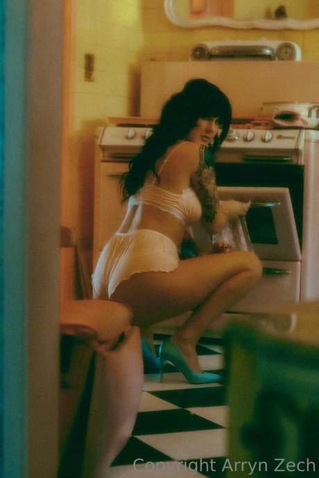 Arryn Zech nudes pornstar pictures
