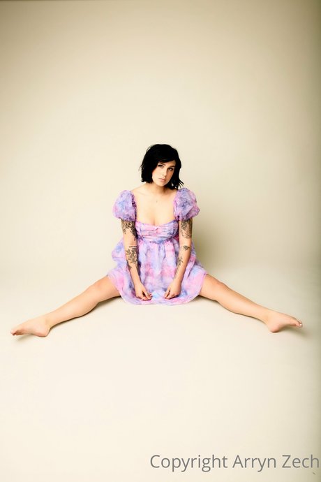 Arryn Zech actrice pornographique img