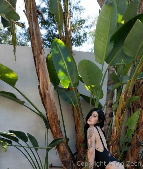 Arryn Zech estrella erótica fotos