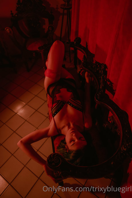 Trixy Blue étoile parfaite galerie