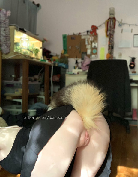 dxmbpup modèle porno img