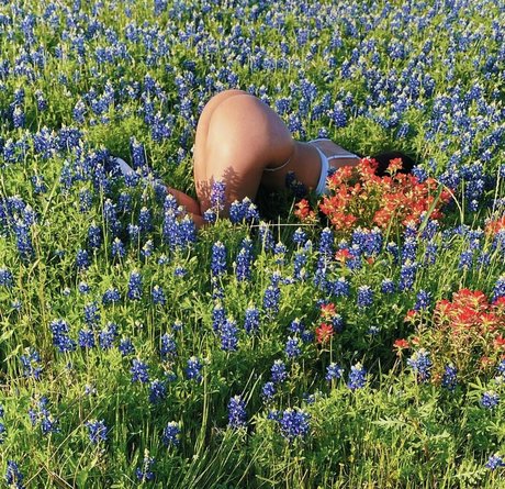 Regina Unite estrella hd imagen