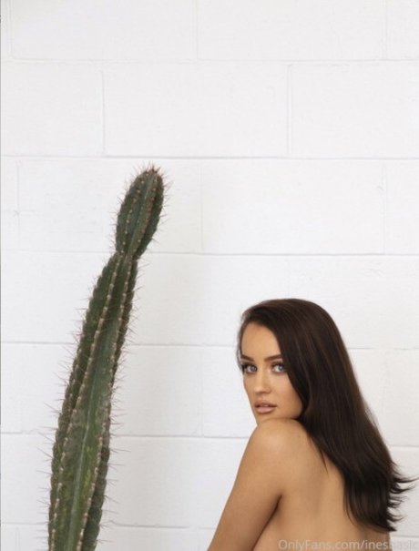 Ines Basic_ star porn pic