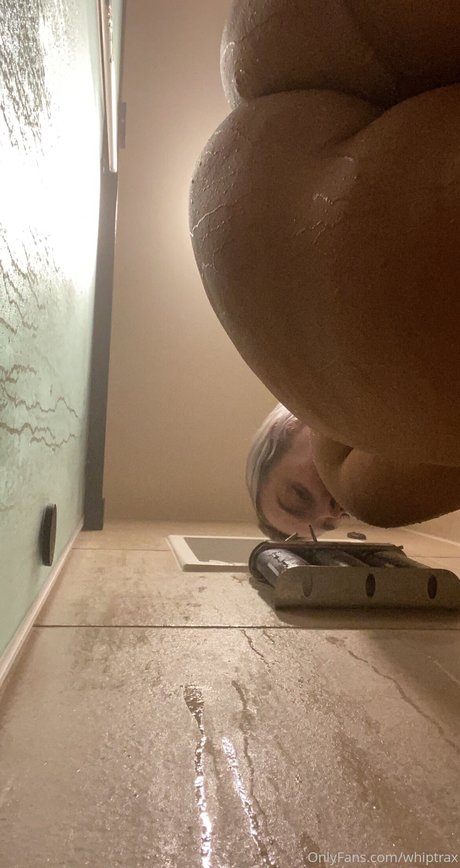 Whiptrax estrella porno erótica recopilación