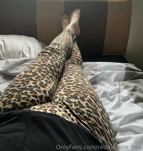 reddadaire free modelo adulto archivo