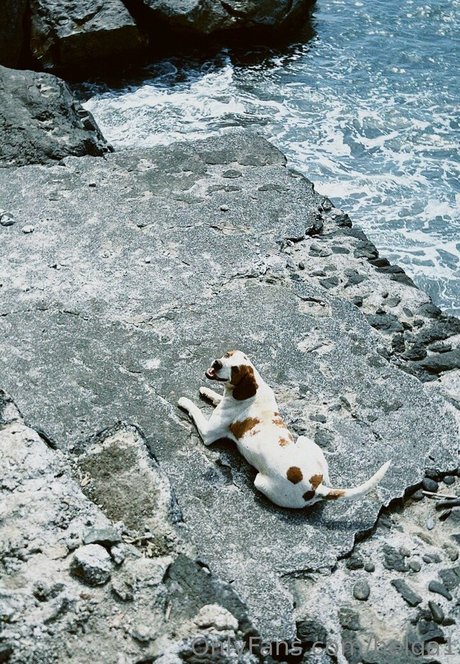 helga1 sexo estrella porno archivo