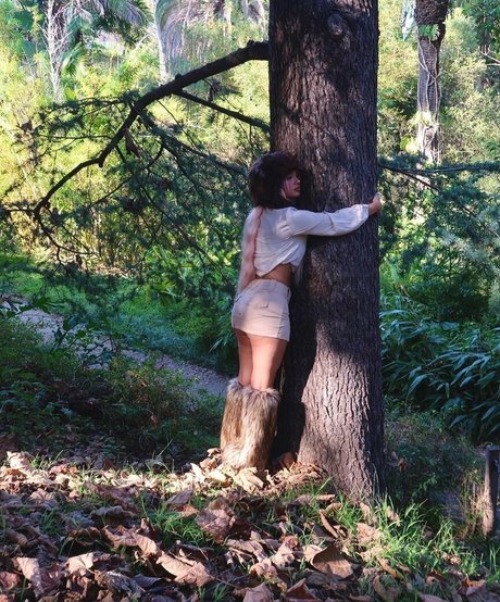 Pasabist étoile de l'art photos