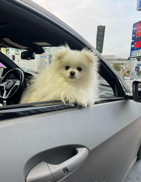 juliasandoval haut modèle collection