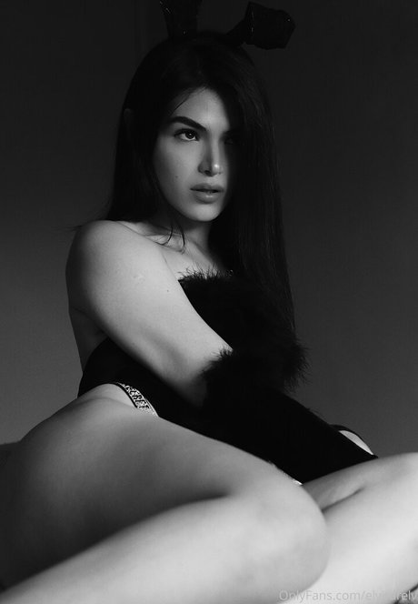 elvirarelv étoile de l'art collection