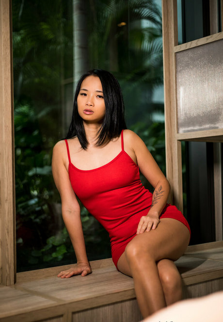 misakifreepage étoile de haute qualité image