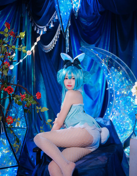 Niantutu estrella hermosa galerías