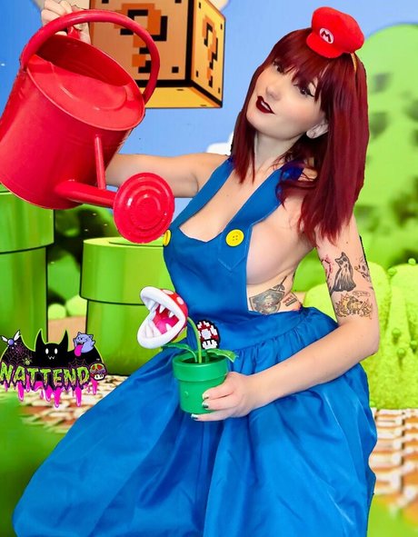 nattend0 étoile exclusive galeries