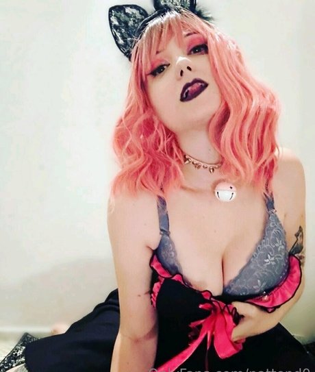 nattend0 estrella porno mejor recopilación