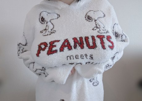 Mikansui_ mejor modelo archivo