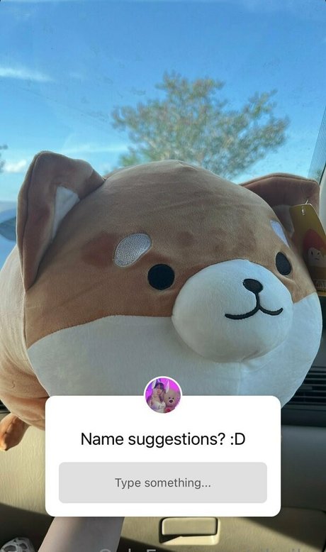 ribaibu étoile parfaite des photos