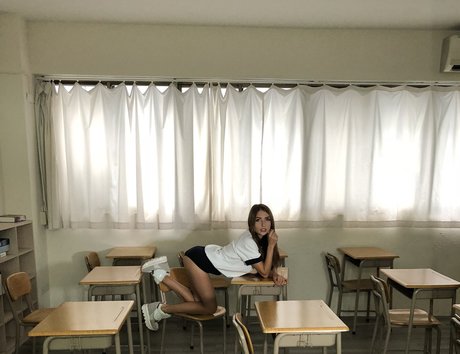 Niemira haut de star du porno collection