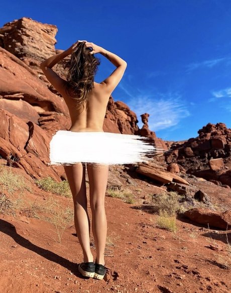 Alexchov modèle img