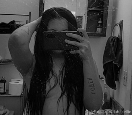 dahliaellie étoile de haute qualité photo