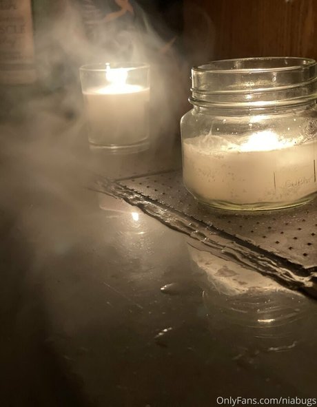 niabugs mejor modelo imágenes