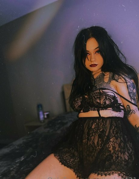 Alleykat modèle parfait images