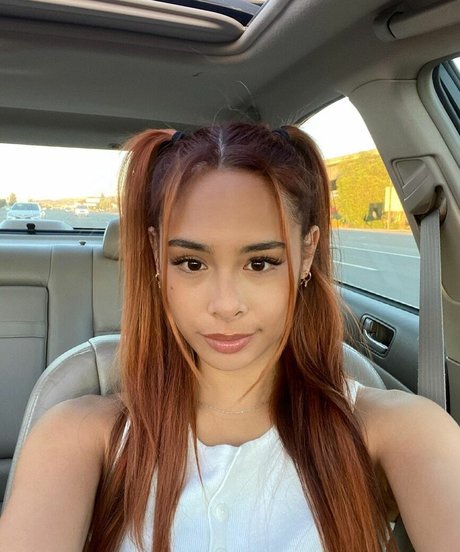 Buhnny art étoile photos