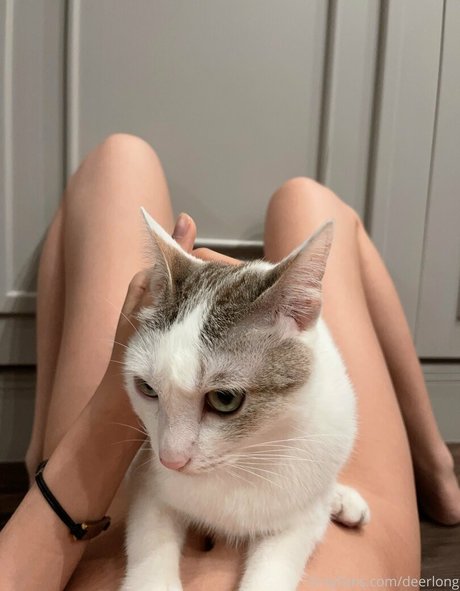 Deerlong belle étoile archive