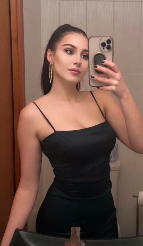 Palmbee modèle hd galerie